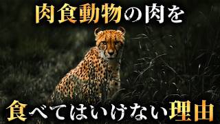 【科学】肉食動物の肉を絶対に食べてはいけない3つの理由がヤバすぎる...。【 生物学 食文化 】