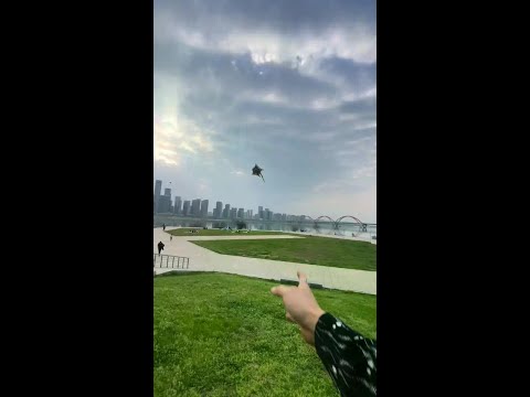 Cute Pet's Confusing Behavior # Sugar Glider Training # Flying Squirrel
