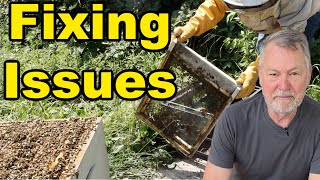 Beekeeping | How To Solve Those Really Tough Issues