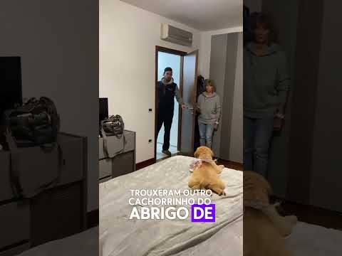 Ele encontrou um NOVO AMIGO inesperado!