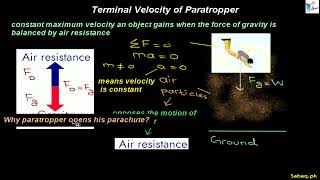 Terminal Velocity of Paratrooper