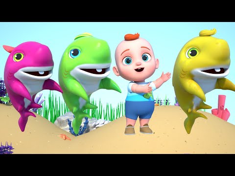 Baby Shark Doo Doo Doo + Compilation 🦈 | Kids Songs & Nursery Rhymes