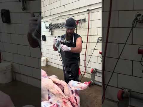 Did you know this about briskets?? ๐ช๐ฅฉ #shorts #shortsviral #viral #viralvideo #bbq #butcher