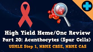 High Yield Heme/Onc Review Part 20: Acanthocytes (Spur Cells) (USMLE Step 1, NBME CBSE & CAS)