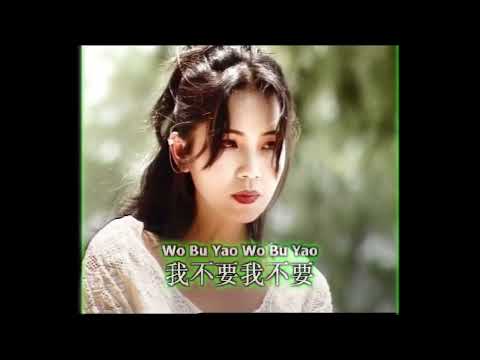 郭仪珍  美丽的谎言【Original Karaoke】