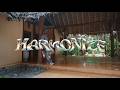 Harmonize - Kudos (Official Music Video)