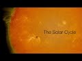 Sunspots and Solar Activity