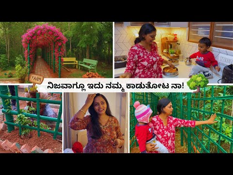 😍 ತೋಟದ ಆರ್ಚ್ ಗೆ ಗಿಡ ಹಾಕಿದ ಮೇಲೆ ಎಷ್ಟು ಚೆನ್ನಾಗಿ ಕಾಣಿಸ್ತಿದೆ ಅಲ್ವಾ! ಇವರು ಬಂದಿದ್ದು ಖುಷಿ ಆಯ್ತು । Vlog