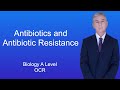 Antibiotic Resistance and Bacterial Infections