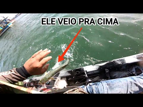 ELE VEIO PARA CIMA DE MIM COM TUDO FOI ASUSTADOR! veja isso