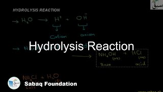 Hydrolysis Reaction