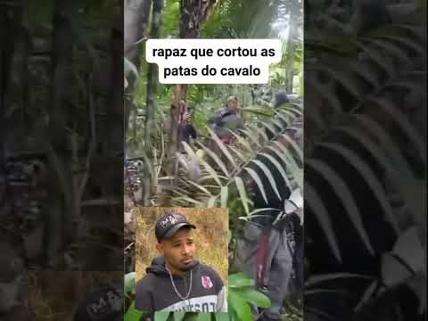 olha isso aí gente