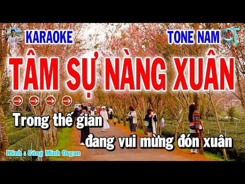 Karaoke Tâm Sự Nàng Xuân Tone Nam