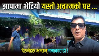 झापामा भेटियो अचम्मको बर पीपलले बेरिएको घर - देख्नेहरु भन्छन् चमत्कार हो | Bijay Bhattarai