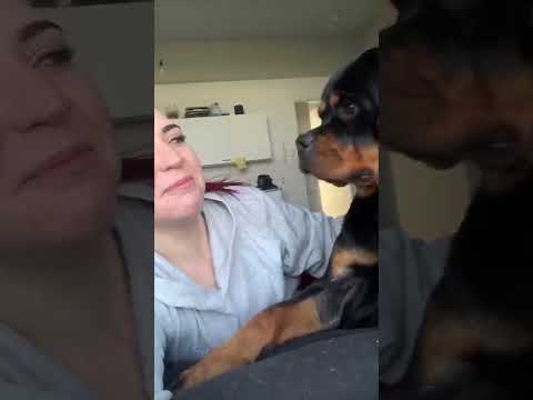 Mom, are you kidding me!! Best 2023 Video !!๐