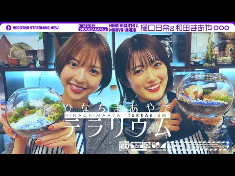 [Nogizaka Streaming Now] [Graduation soon] Higuchi and Wada's last project! We made a terrarium ♪