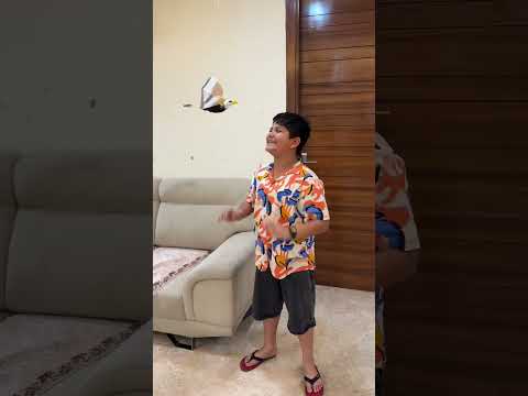 Ridhu Ne Kiya Gattu Ko Bird Gift 😱