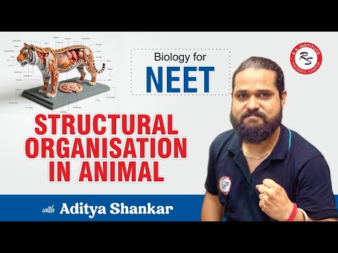 Structural Organisation in Animals | BY ADITYA SIR I ARJUNA 1.0 & 2.0 BEST NEET COACHING IN KANPUR