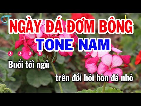 Karaoke Ngày Đá Đơm Bông Tone Nam ( Dm ) Nhạc Sống Hay Nhất || Karaoke Tuấn Kiệt