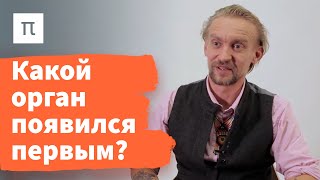 видео