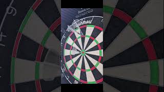 Pov:I'm hit the big fish #darts