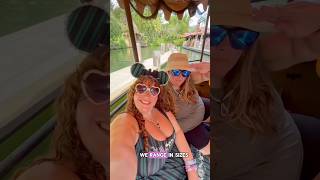 Jungle Cruise - Disney World Plus Size Ride Test #disneyworld # #magickingdom #junglecruise