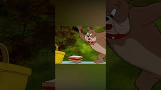 Il perfetto picnic 🧺 | Tom & Jerry | #shorts @WBKidsItaliano