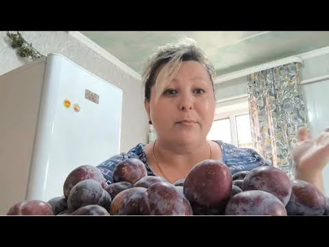 Влог:Собираем сливу/Сельский блогер/Вот такой, мой ответ/Наша жизнь на юге...