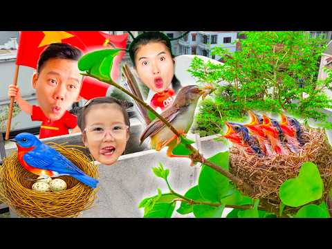 Changcady bất ngờ phát hiện tổ chim mới nở, ra đồng bắt con sâu, châu chấu cho chim con ăn.