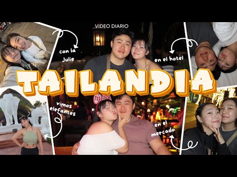 🇰🇷 video diario 🎥 ¿NAVIDAD EN TAILANDIA? ASÍ CELEBRAMOS EN CHIANG MAI  🎄🐘 | VLOG