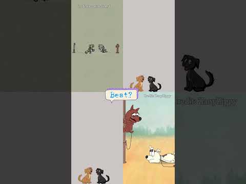 Dogs for no reason! ? #memevideos  #viralshort credit:@ZanyZippy @ricoanimationsO