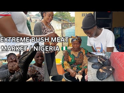 Nigeria's WILD ANIMAL Market || Extreme busmeat