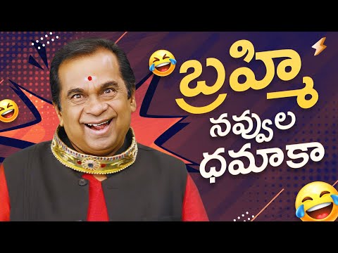 Brahmanandam Non-Stop Hilarious Comedy Scenes | Brahmanandam Telugu Comedy Scenes | Krishna | Ready