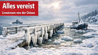 🔴LIVE ❄️ Ostsee ist zugefroren / Eisskulpturen an der Ostsee! @realUnwetterjägerLIVE #Eis #winter