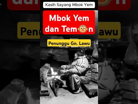 MBOK YEM & TEMON‼️ #kondego #pendakiultralight #gunung #camping