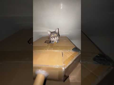 Watch your six! 😭 | #topofthefeed