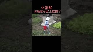 #northkorea #북한 #ガーデニング #北朝鮮 何のために？