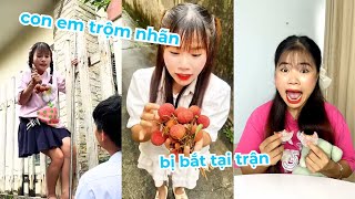 Tổng hợp video siêu hài hước vui nhộn, con em trộm vải để con chị canh bác hàng xóm và cái kết