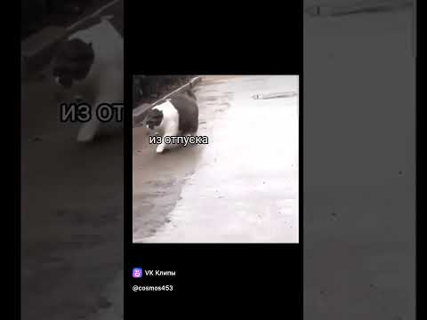 1 октября 2025 г.