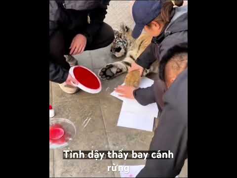 Tự nhiên tỉnh dậy thành con nợ ! #cute