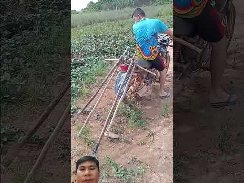 làm biếng quá ông ơi #oddlysatisfying #funny #farming