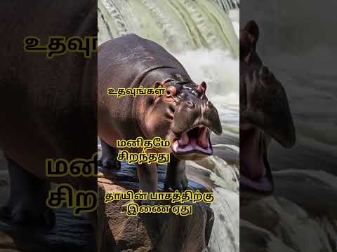 பிறருக்கு உதவுங்கள் 🙏