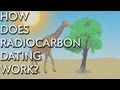 Understanding Fossil Dating