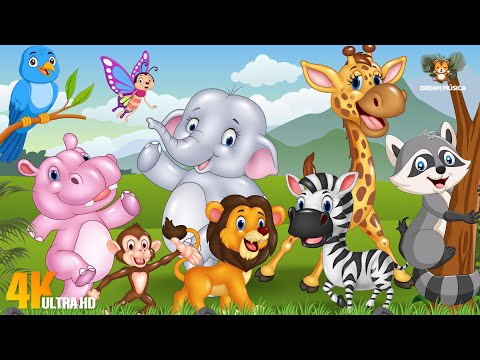 Bustling Animal World Sounds Around Us - Hippo, Elephant, Zebra, Lion, Raccoon - Animal Sounds