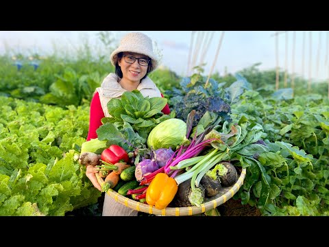 Harvest fresh fruits and vegetables for dinner, lots of fruits and vegetables of all kinds