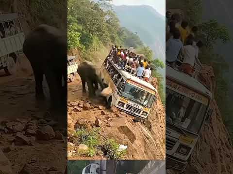 Bad Situation. #vjsiddhuvlogs #automobile #parithabangal #gosuvlogs #gosu_comedy #tamilnews #lorri