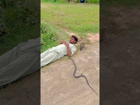 kisan so raha hai aur saanp Aa gaya