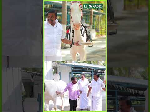 ராஜஸ்தான் குதிரை 10 லட்சம் வரும்... அமைச்சர் KN Nehru -வின் பிரமாண்ட பண்ணை விசிட்!