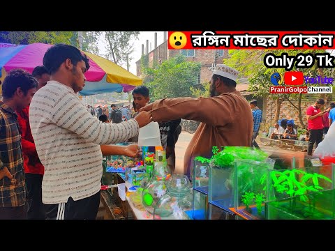 ২০/- টাকায়🔥মাছ ও অ্যাকুরিয়াম কিনুন | Aquarium price in Bangladesh 2024 | Noyabati fish price 2024