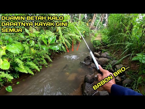 Mancing di selokan Memang Lebih Mantap Kalo ikanya Segini gini Semua #LM17